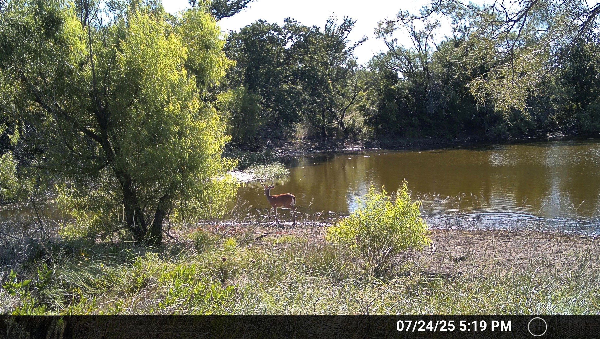 N/a Wayland Ranches Breckenridge TX 76424