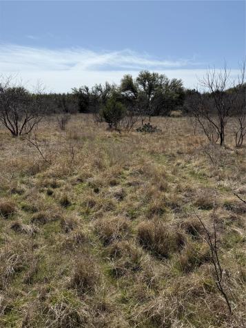 N/a Wayland Ranches Breckenridge TX 76424
