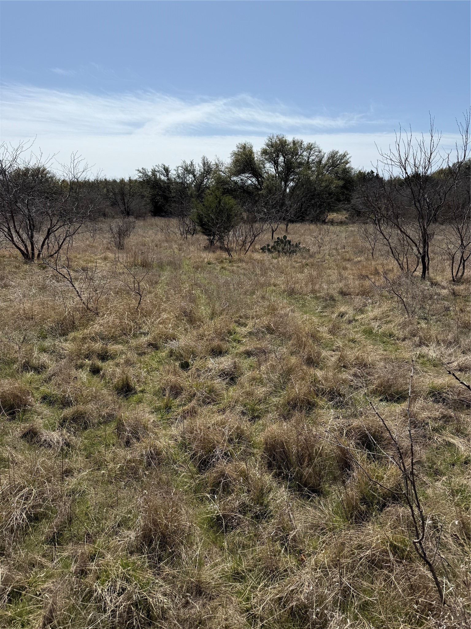 N/a Wayland Ranches Breckenridge TX 76424