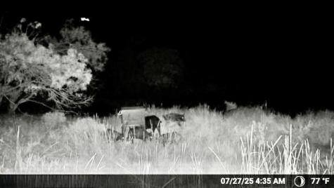N/a Wayland Ranches Breckenridge TX 76424