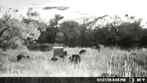 N/a Wayland Ranches Breckenridge TX 76424