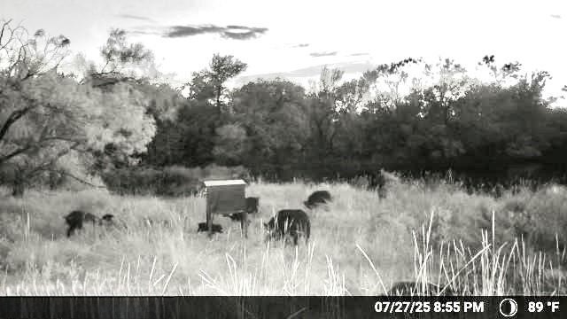 N/a Wayland Ranches Breckenridge TX 76424
