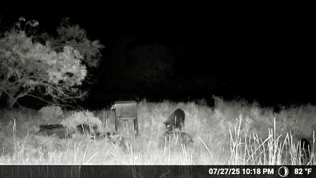 N/a Wayland Ranches Breckenridge TX 76424