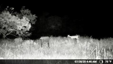 N/a Wayland Ranches Breckenridge TX 76424