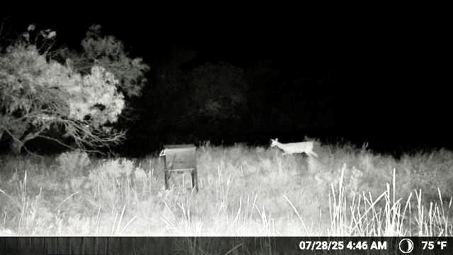 N/a Wayland Ranches Breckenridge TX 76424