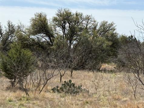 N/a Wayland Ranches Breckenridge TX 76424