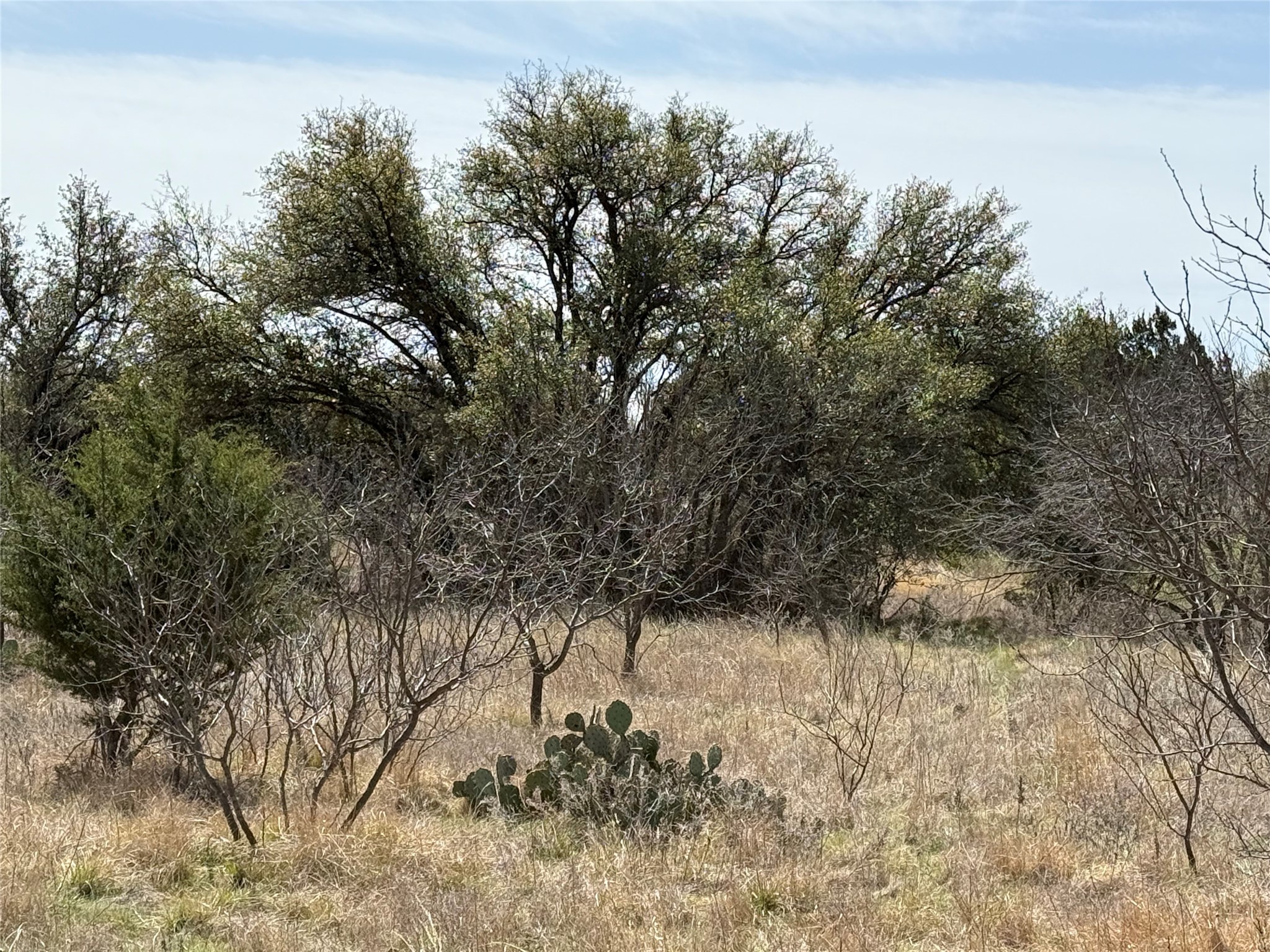 N/a Wayland Ranches Breckenridge TX 76424