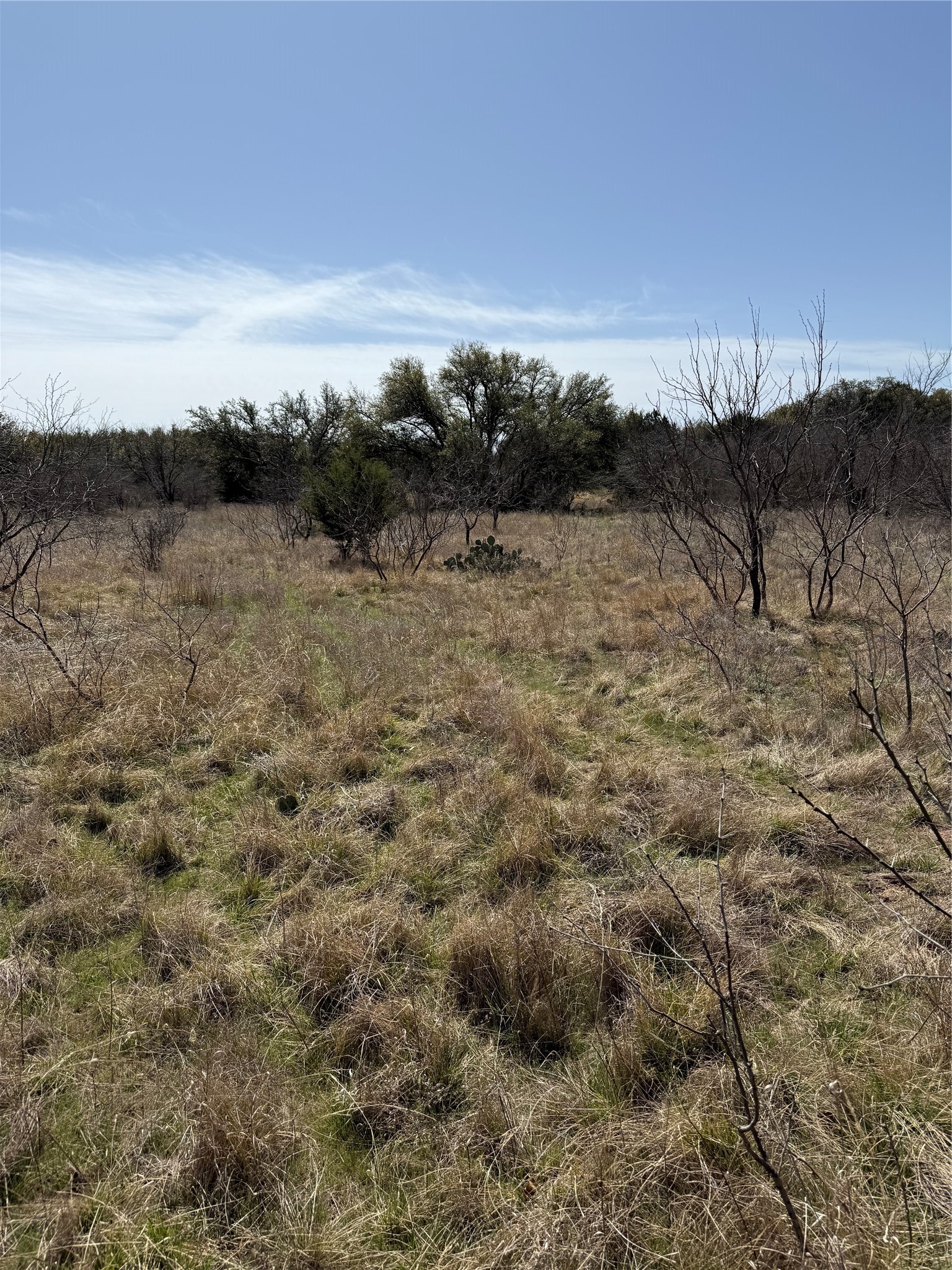 N/a Wayland Ranches Breckenridge TX 76424