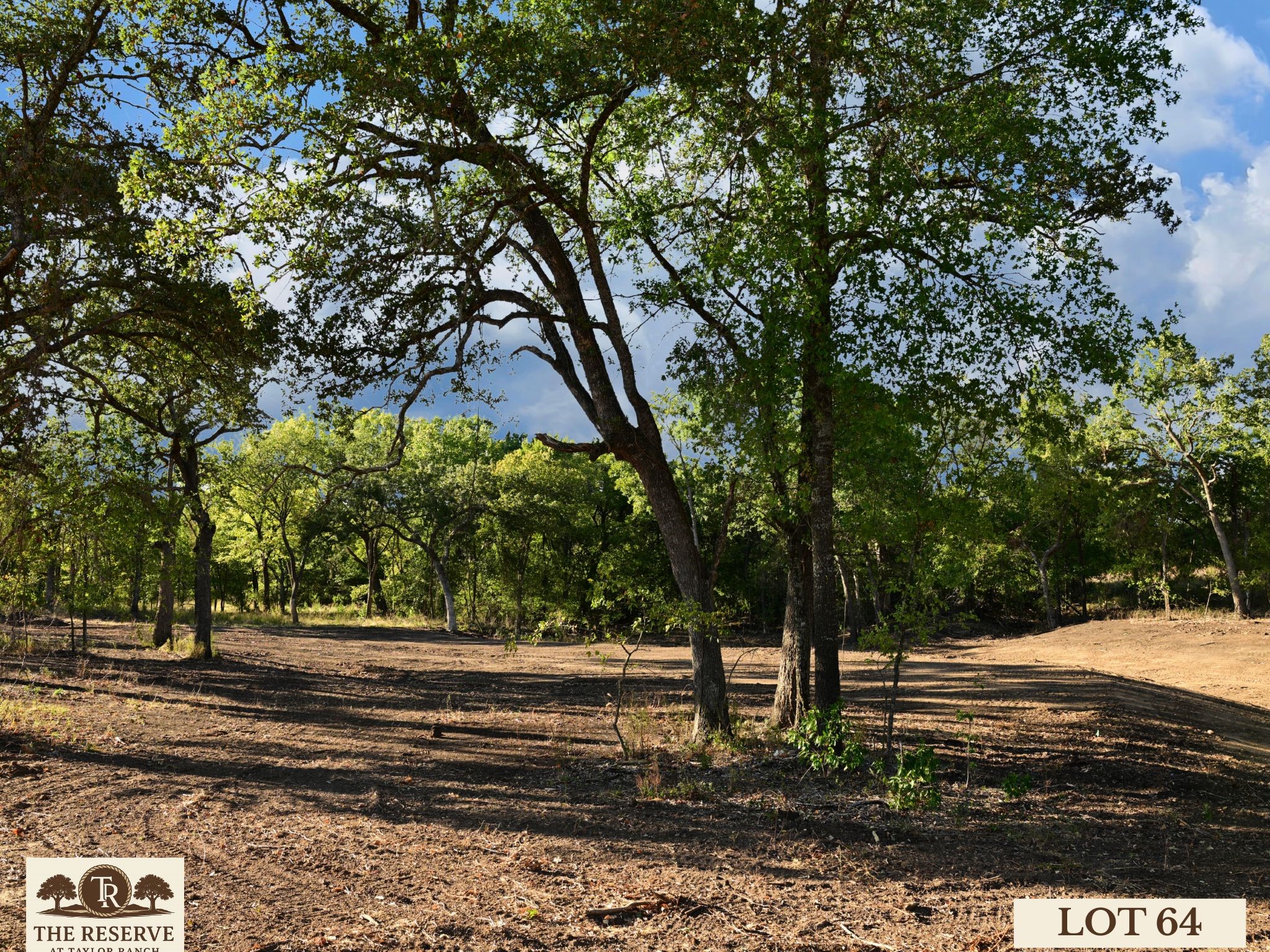 Lot 64 Camden Lane Springtown TX 76082