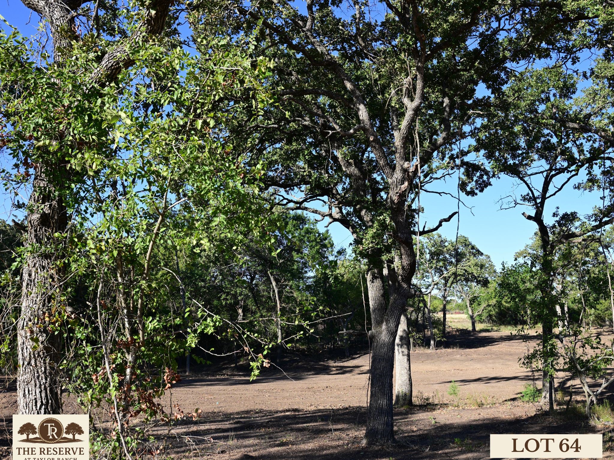 Lot 64 Camden Lane Springtown TX 76082