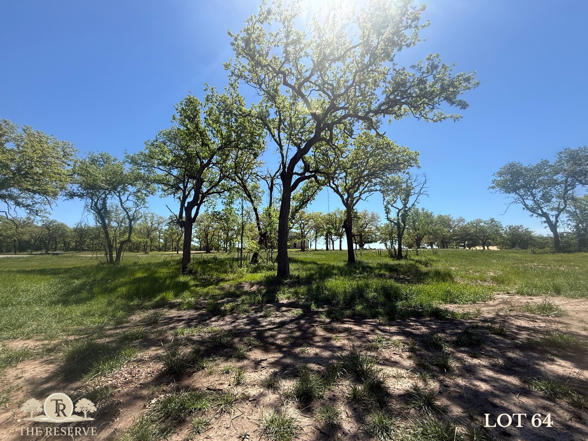 Lot 64 Camden Lane Springtown TX 76082