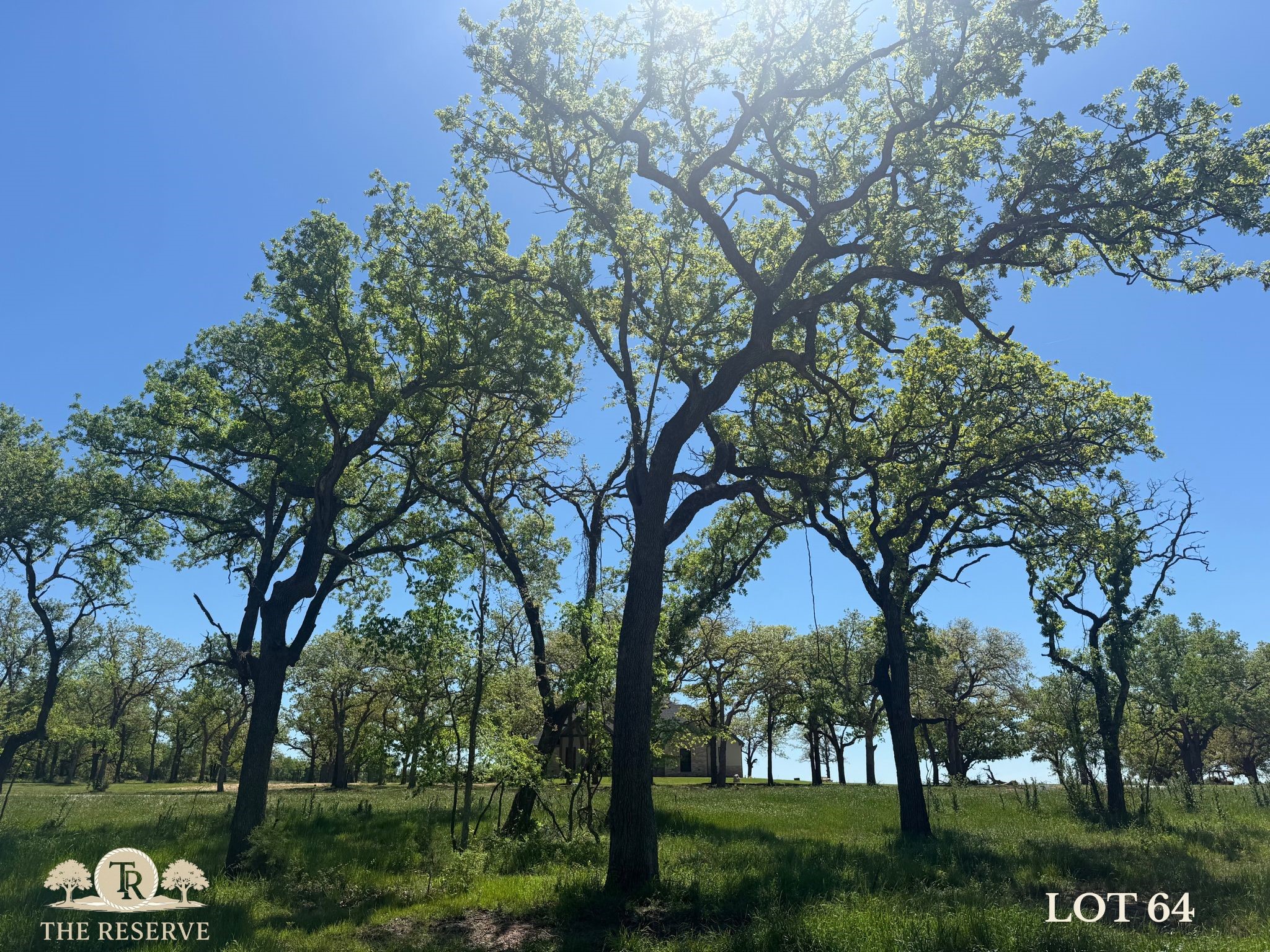 Lot 64 Camden Lane Springtown TX 76082