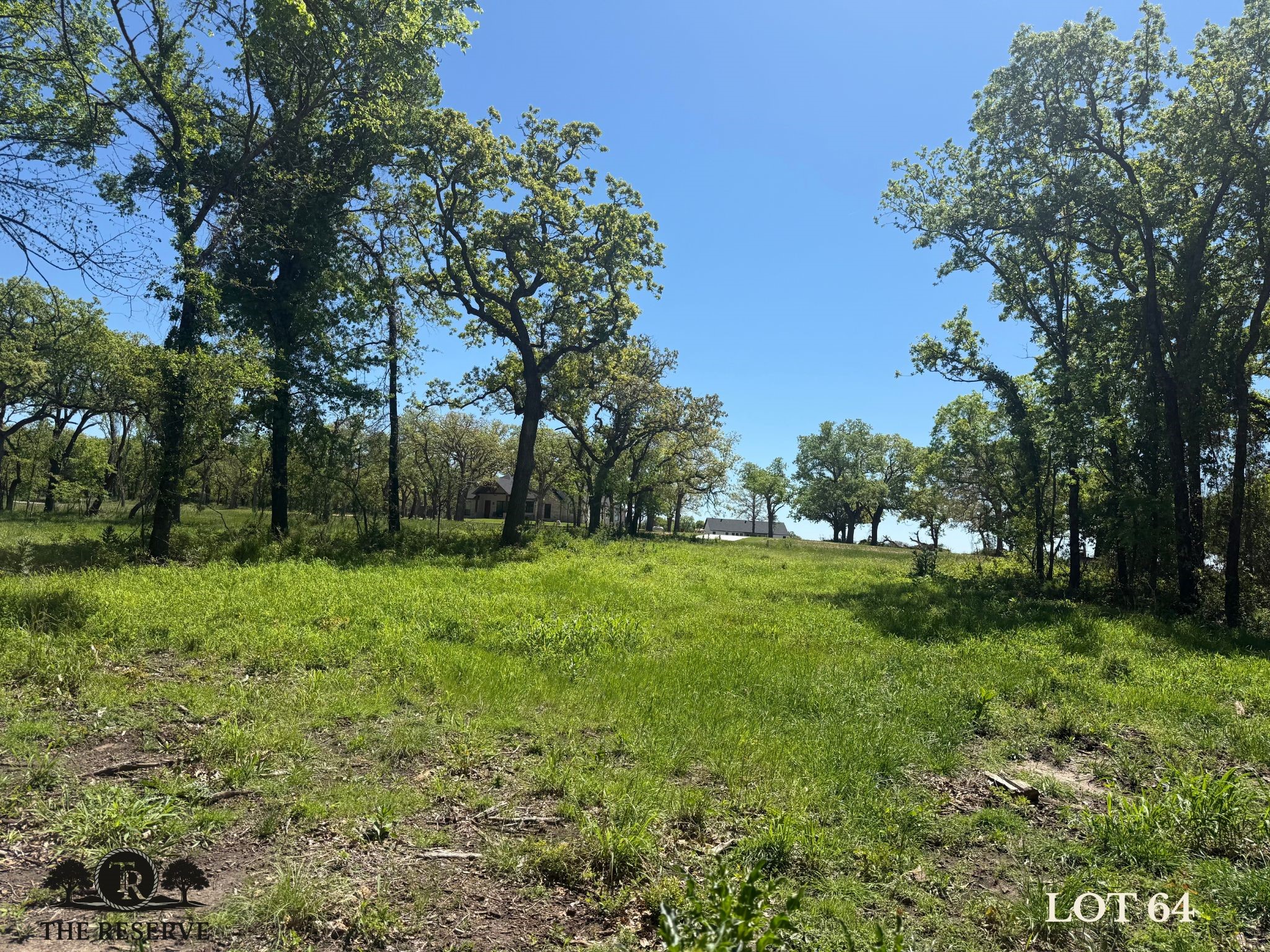 Lot 64 Camden Lane Springtown TX 76082