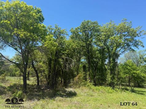 Lot 64 Camden Lane Springtown TX 76082