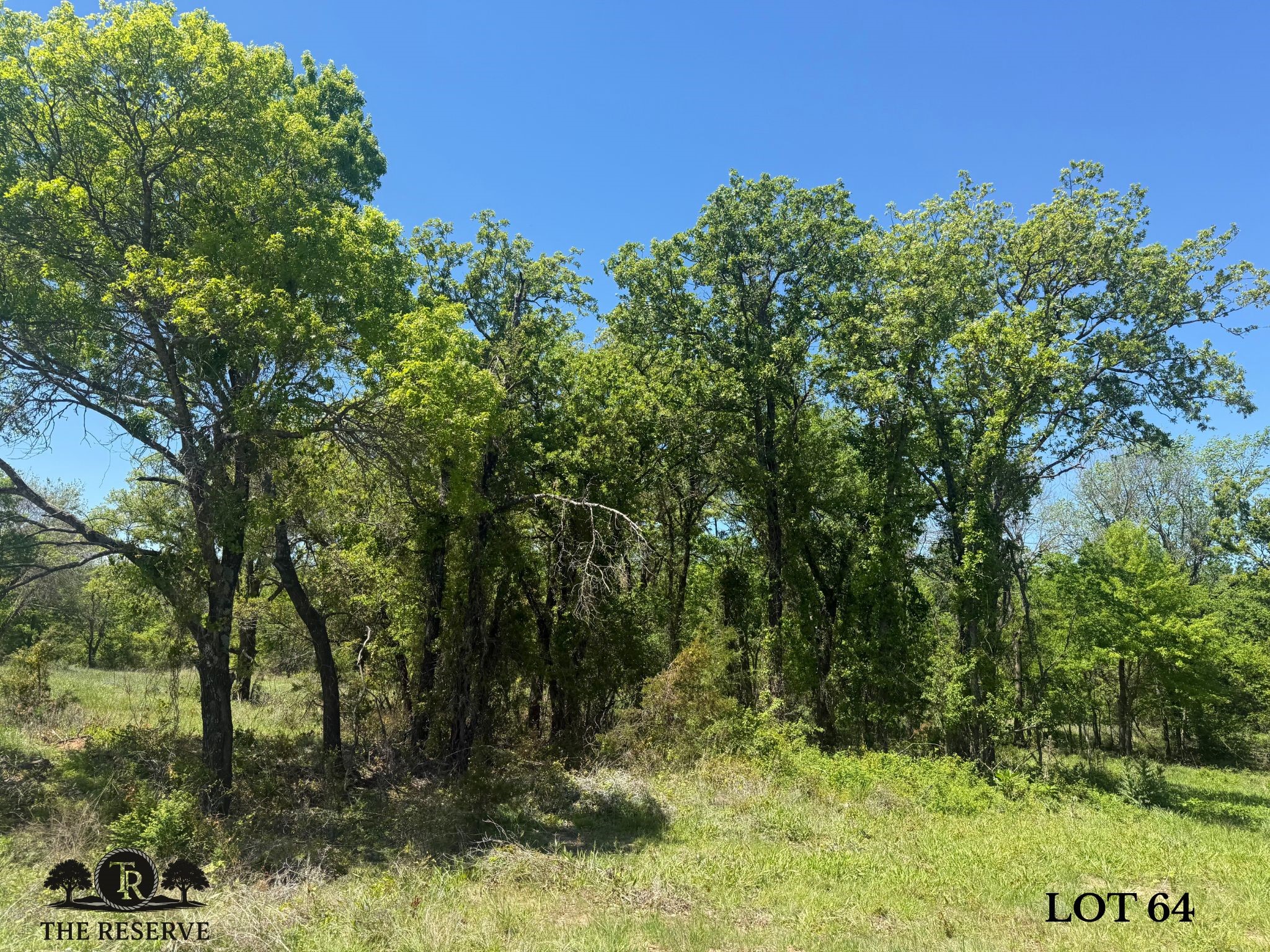 Lot 64 Camden Lane Springtown TX 76082