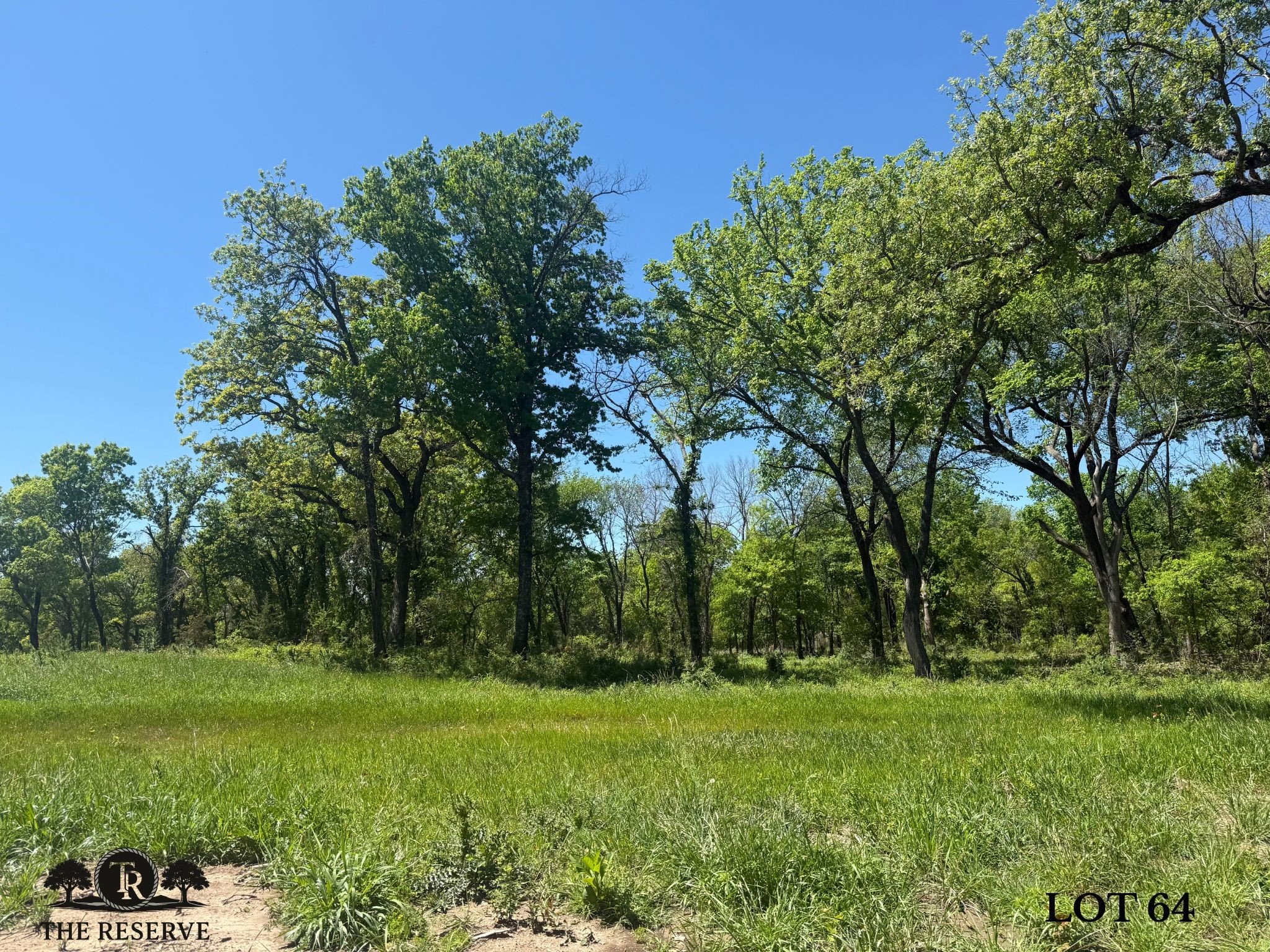 Lot 64 Camden Lane Springtown TX 76082