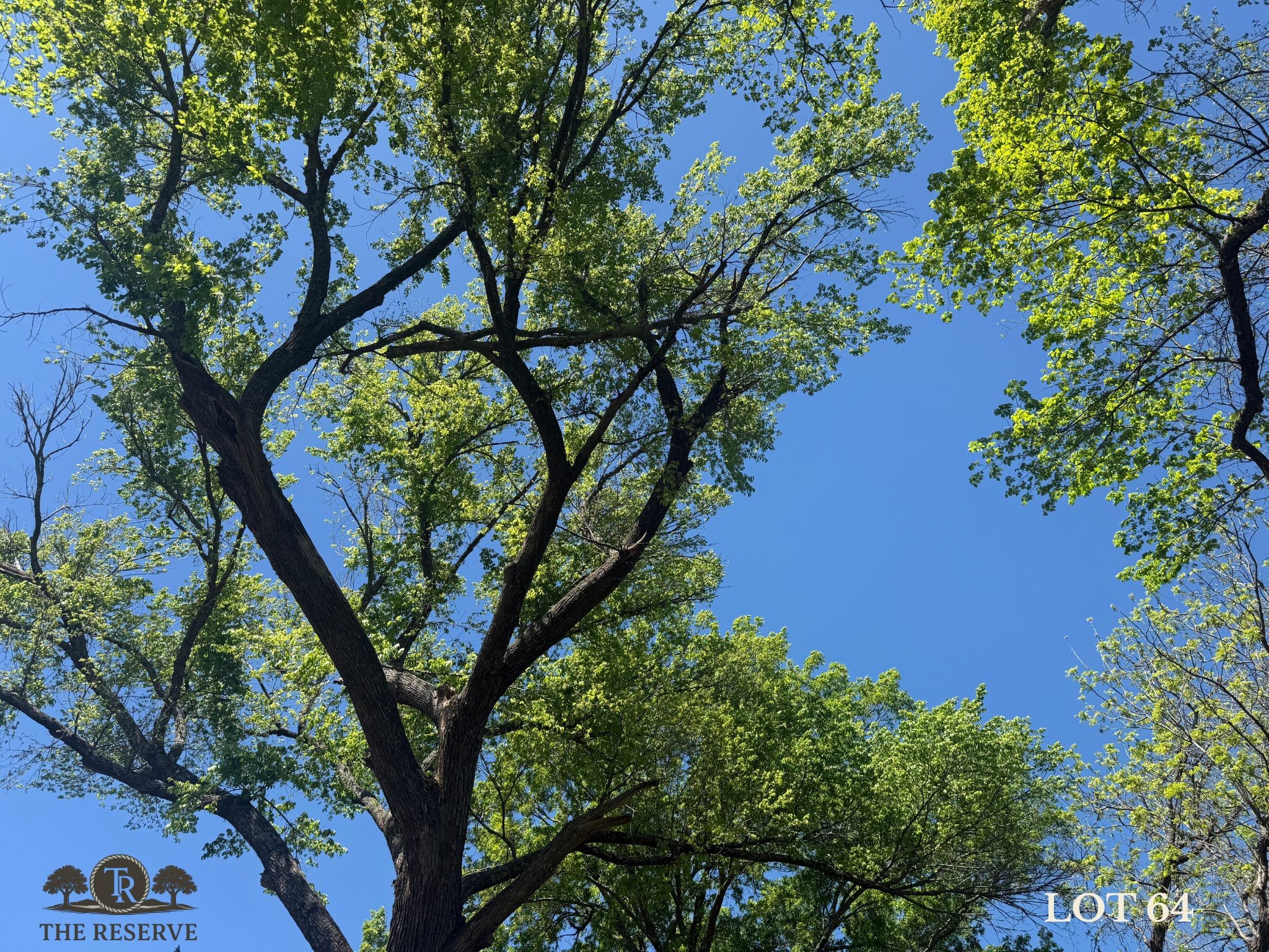 Lot 64 Camden Lane Springtown TX 76082
