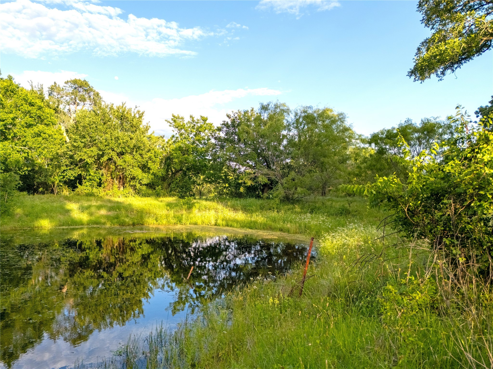 980 N League Ranch Road Waco TX 76705