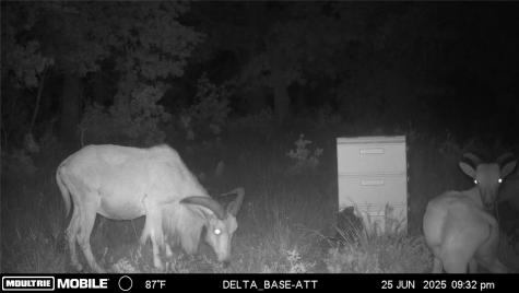 1390 Clayton Mountain Road Gordon TX 76453