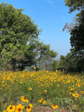 1390 Clayton Mountain Road Gordon TX 76453