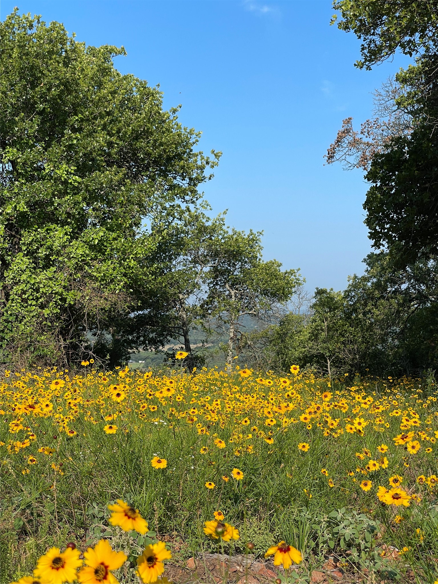 1390 Clayton Mountain Road Gordon TX 76453