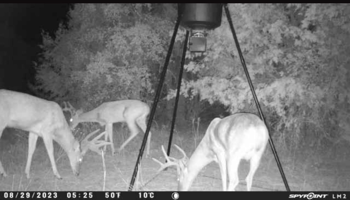 1500 Brown Road Palo Pinto TX 76484