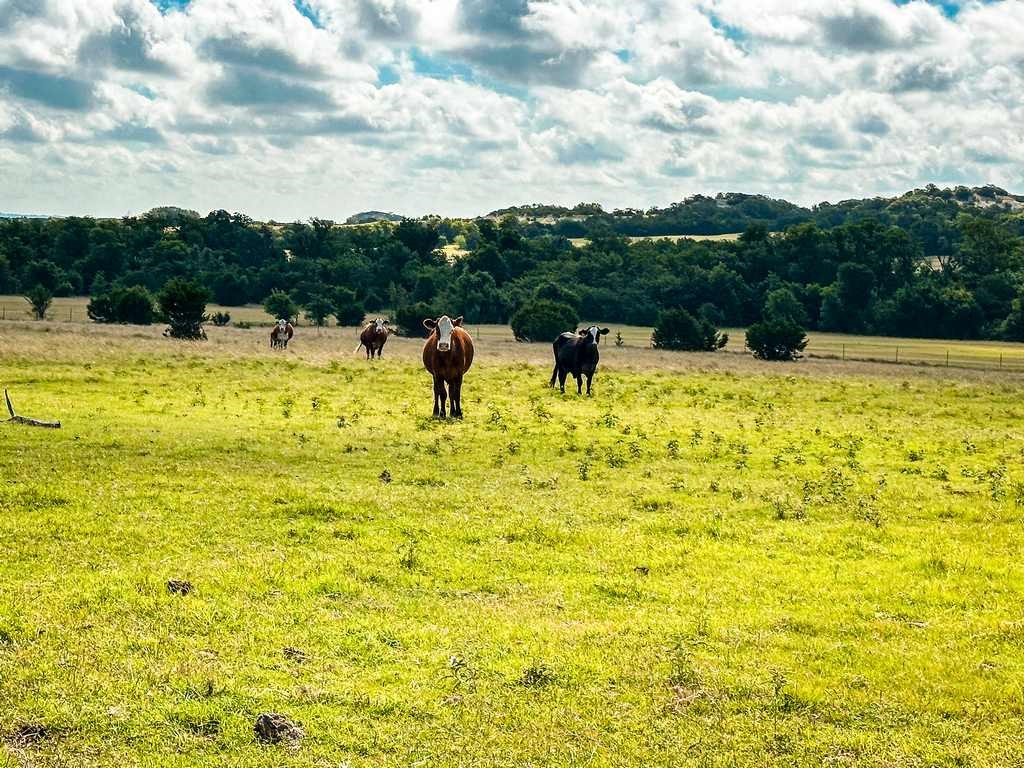 Tbd Fm 116 Gatesville TX 76528