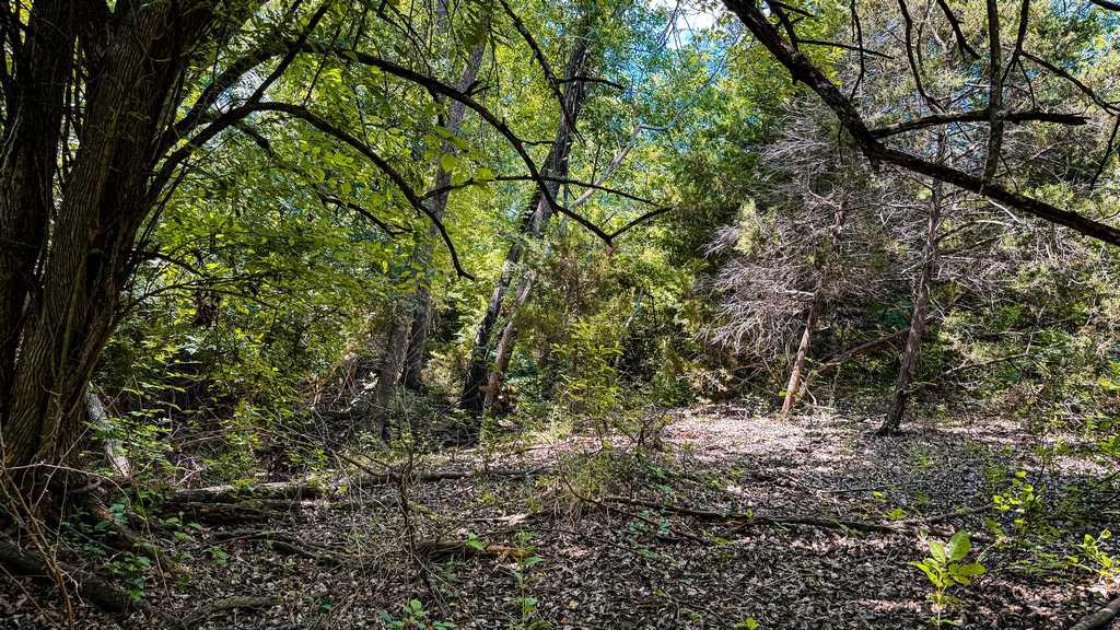 Tbd Fm 116 Gatesville TX 76528