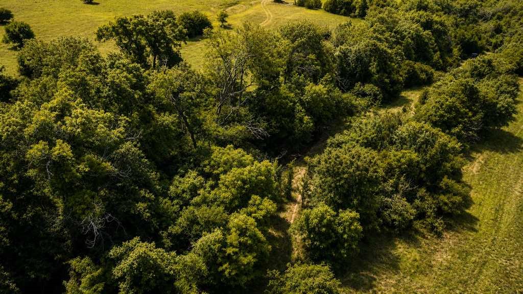 Tbd Fm 116 Gatesville TX 76528