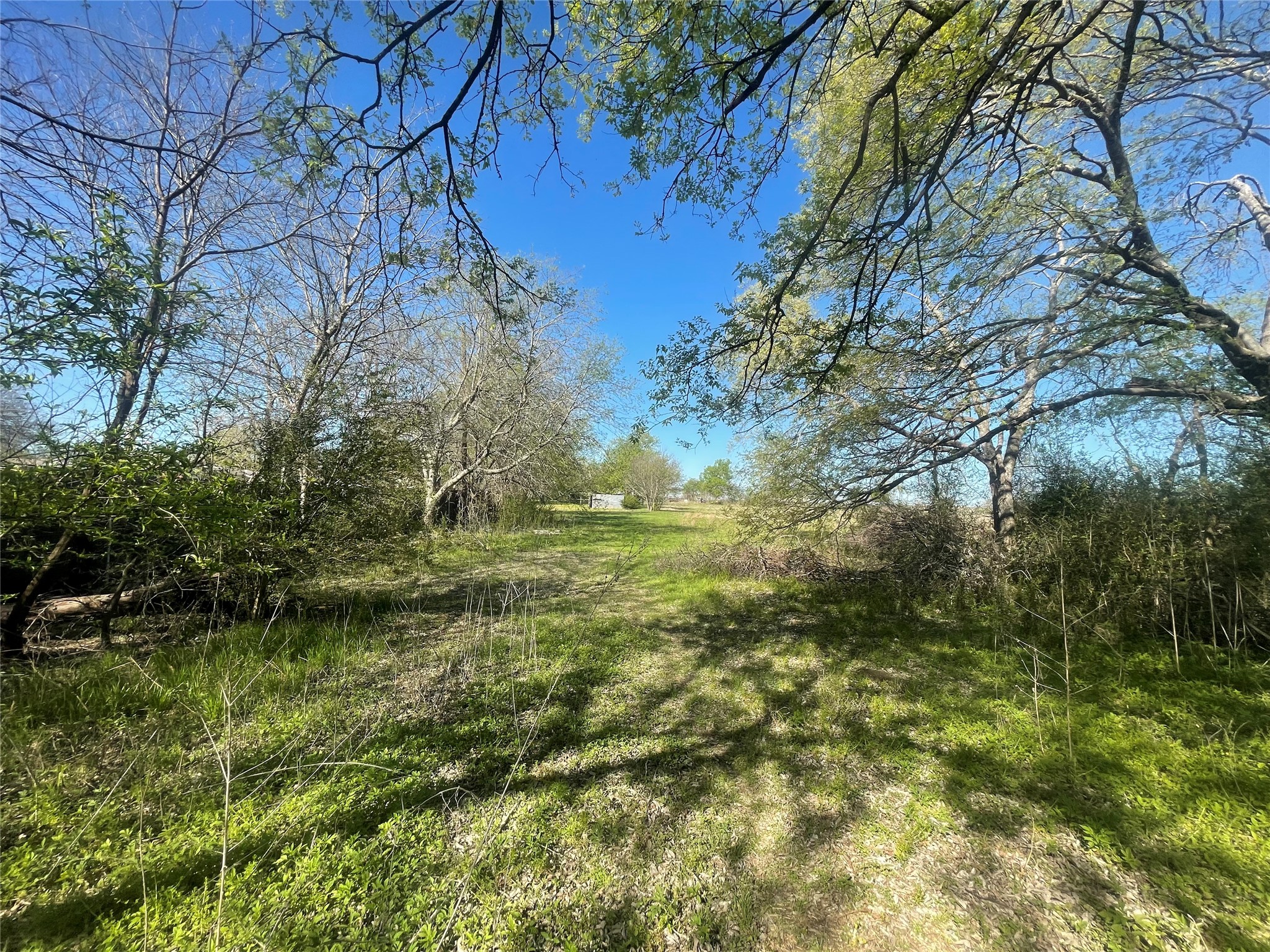 514 W Roosevelt Avenue Whitney TX 76692