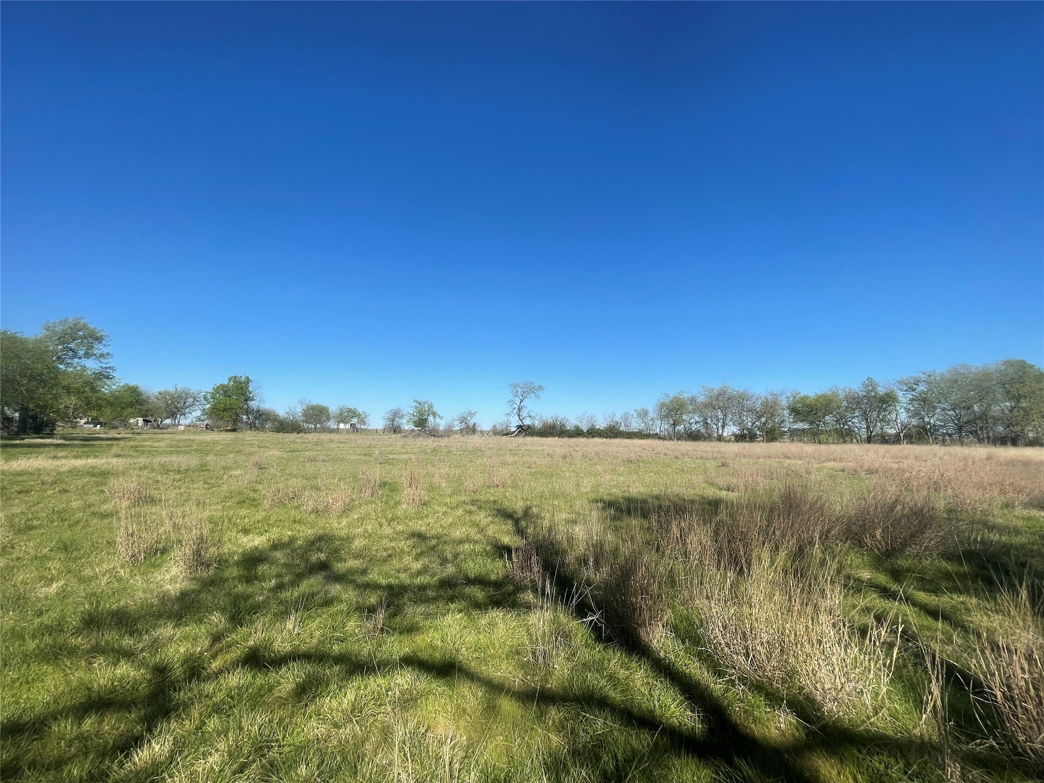 514 W Roosevelt Avenue Whitney TX 76692