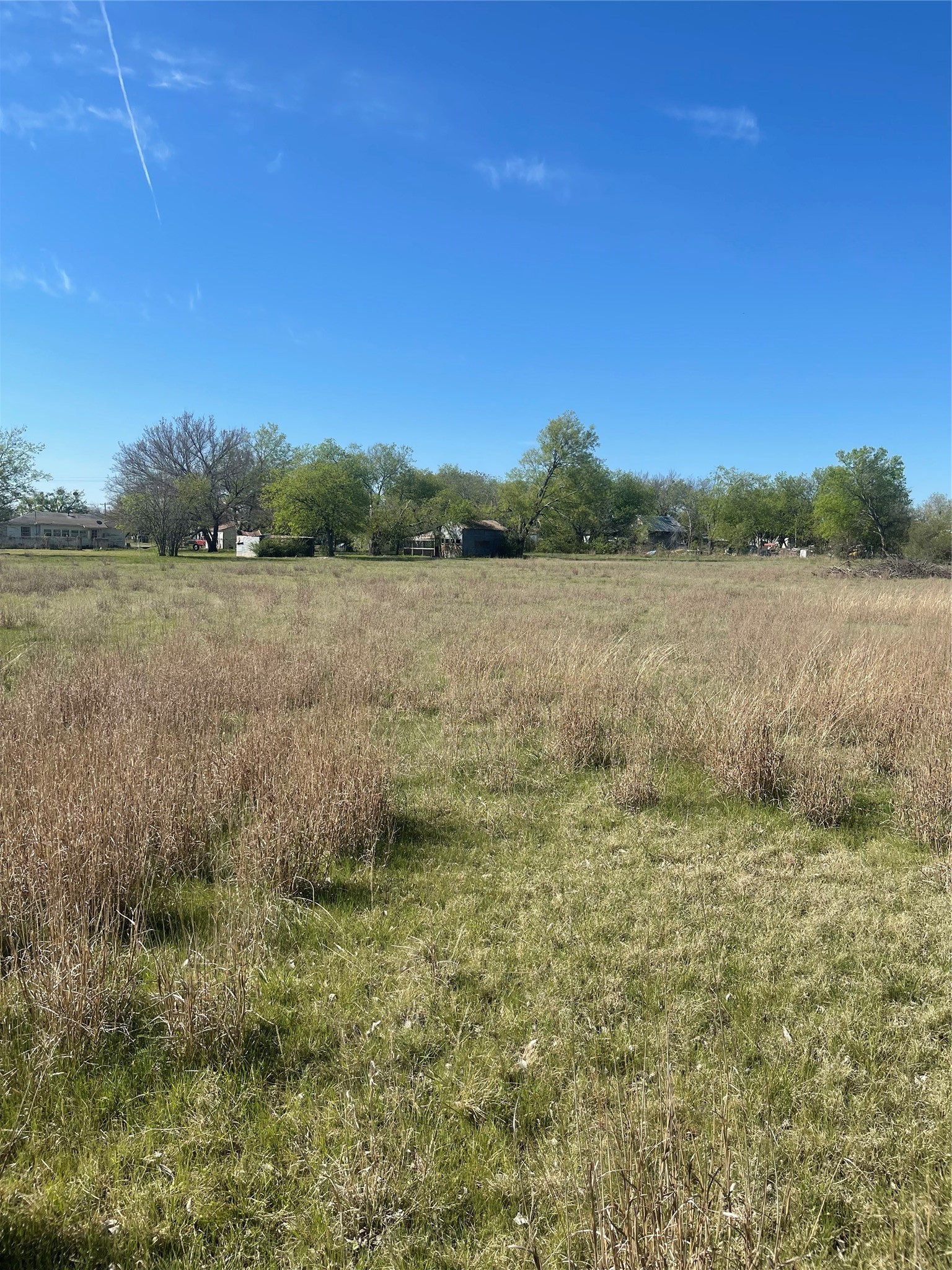 514 W Roosevelt Avenue Whitney TX 76692