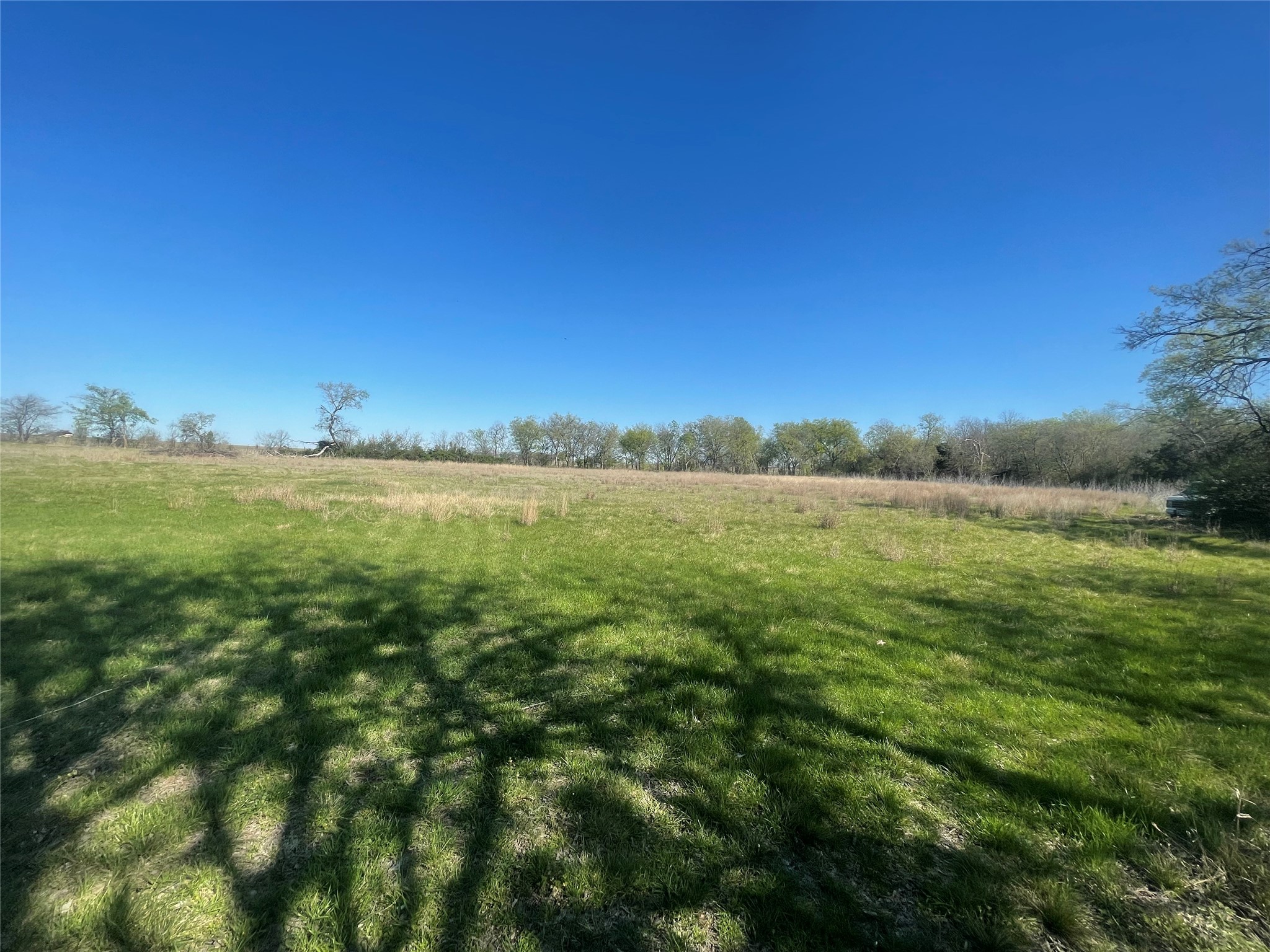514 W Roosevelt Avenue Whitney TX 76692