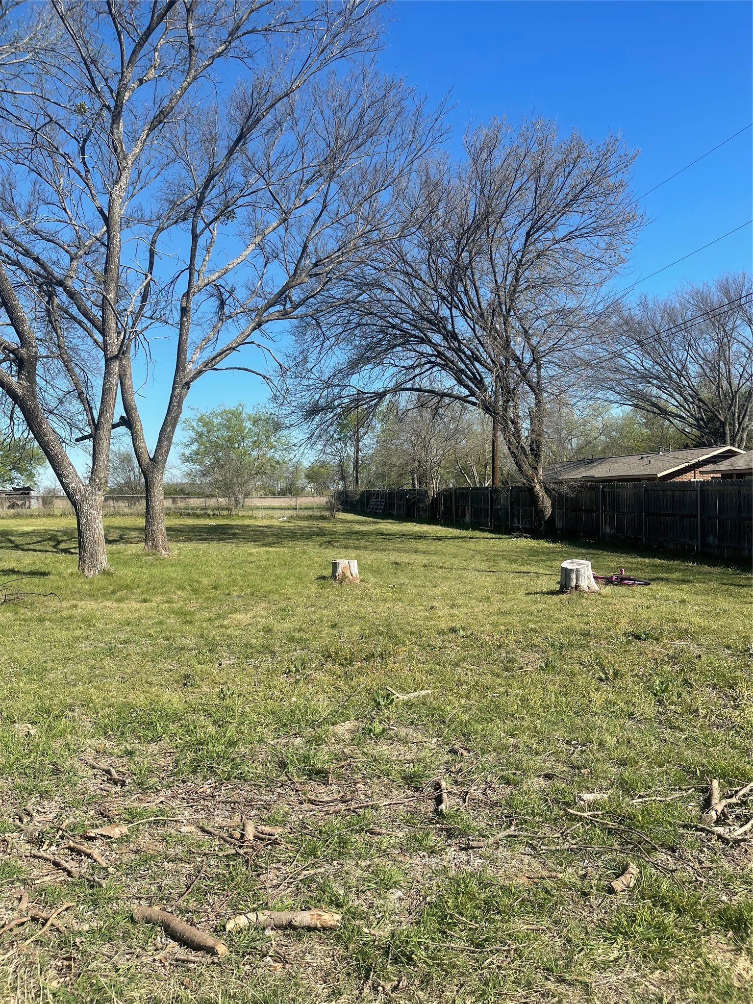 514 W Roosevelt Avenue Whitney TX 76692