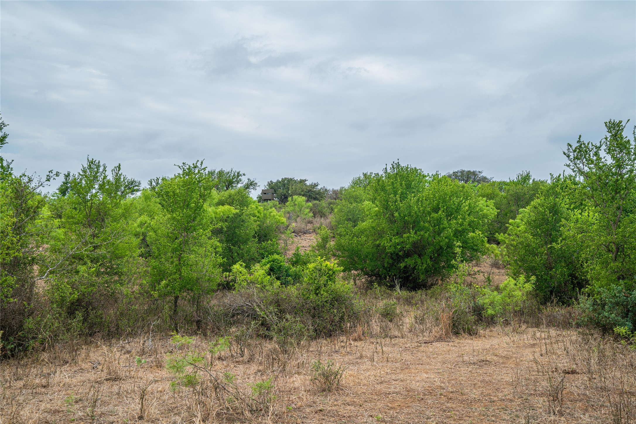 16101 Fm 500 San Saba TX 76871