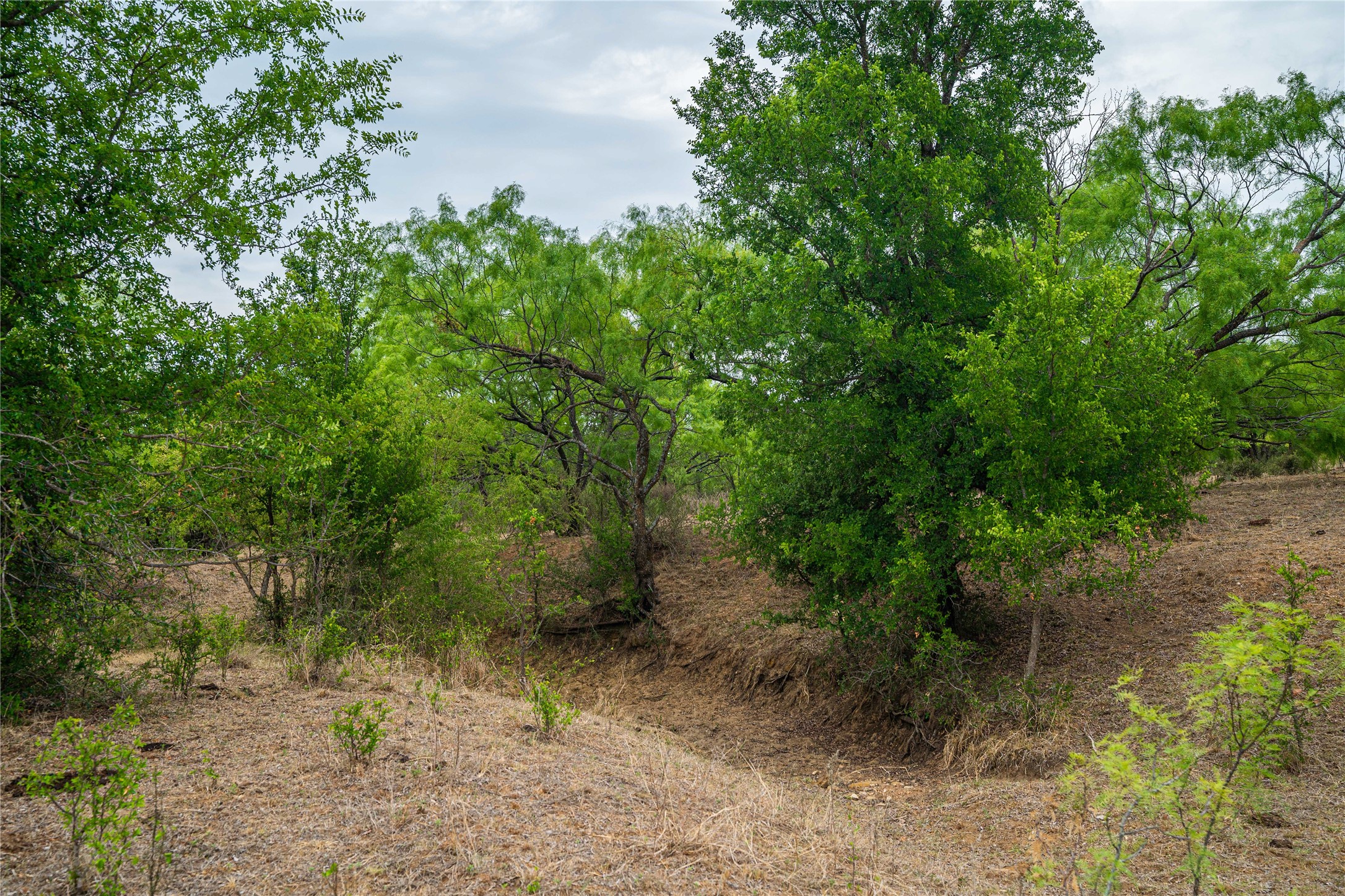 16101 Fm 500 San Saba TX 76871
