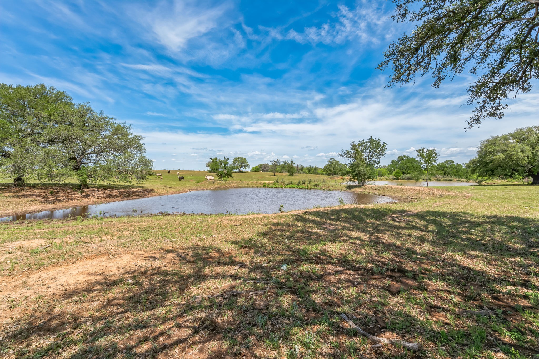 16101 Fm 500 San Saba TX 76871