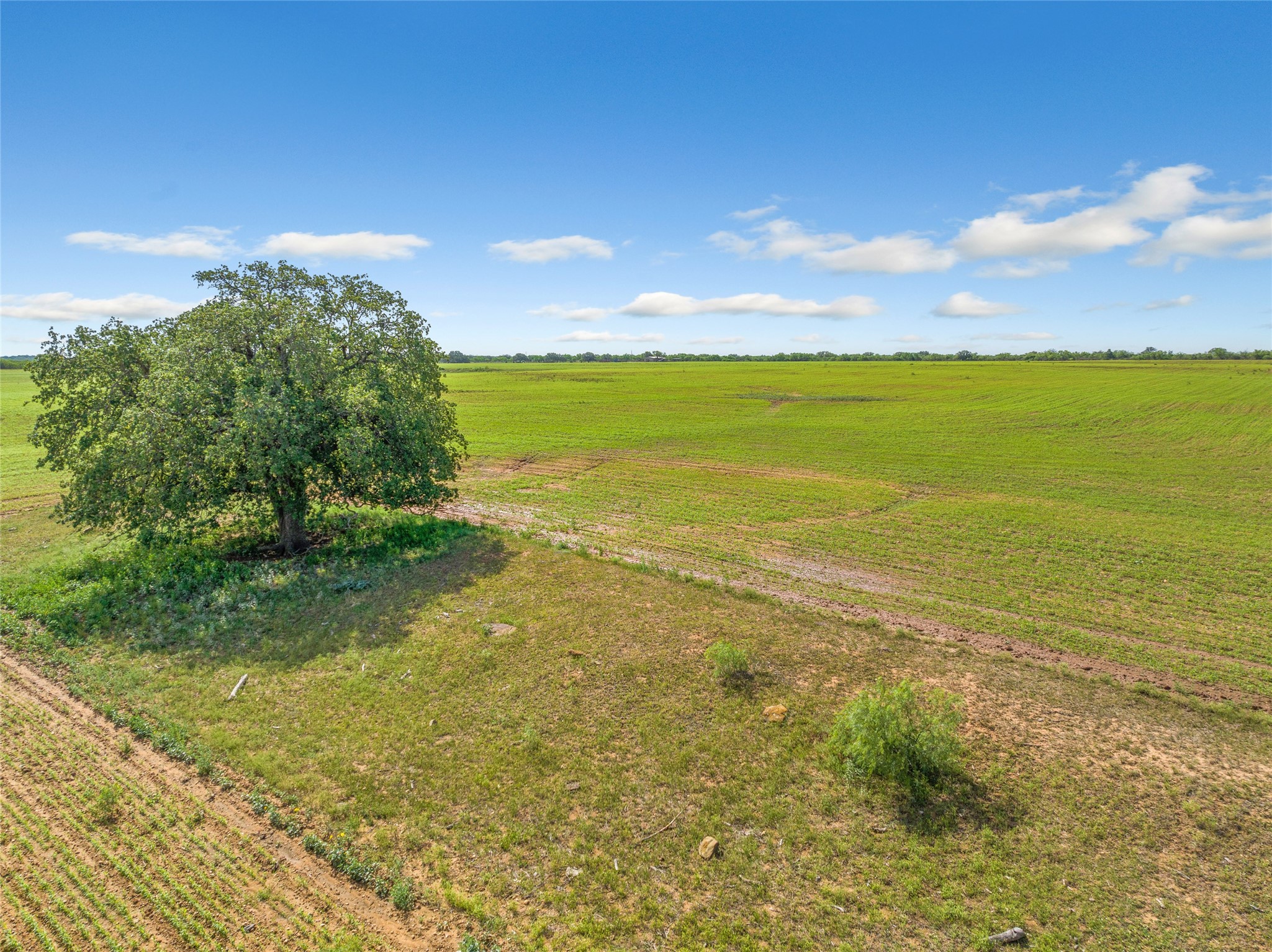 16101 Fm 500 San Saba TX 76871