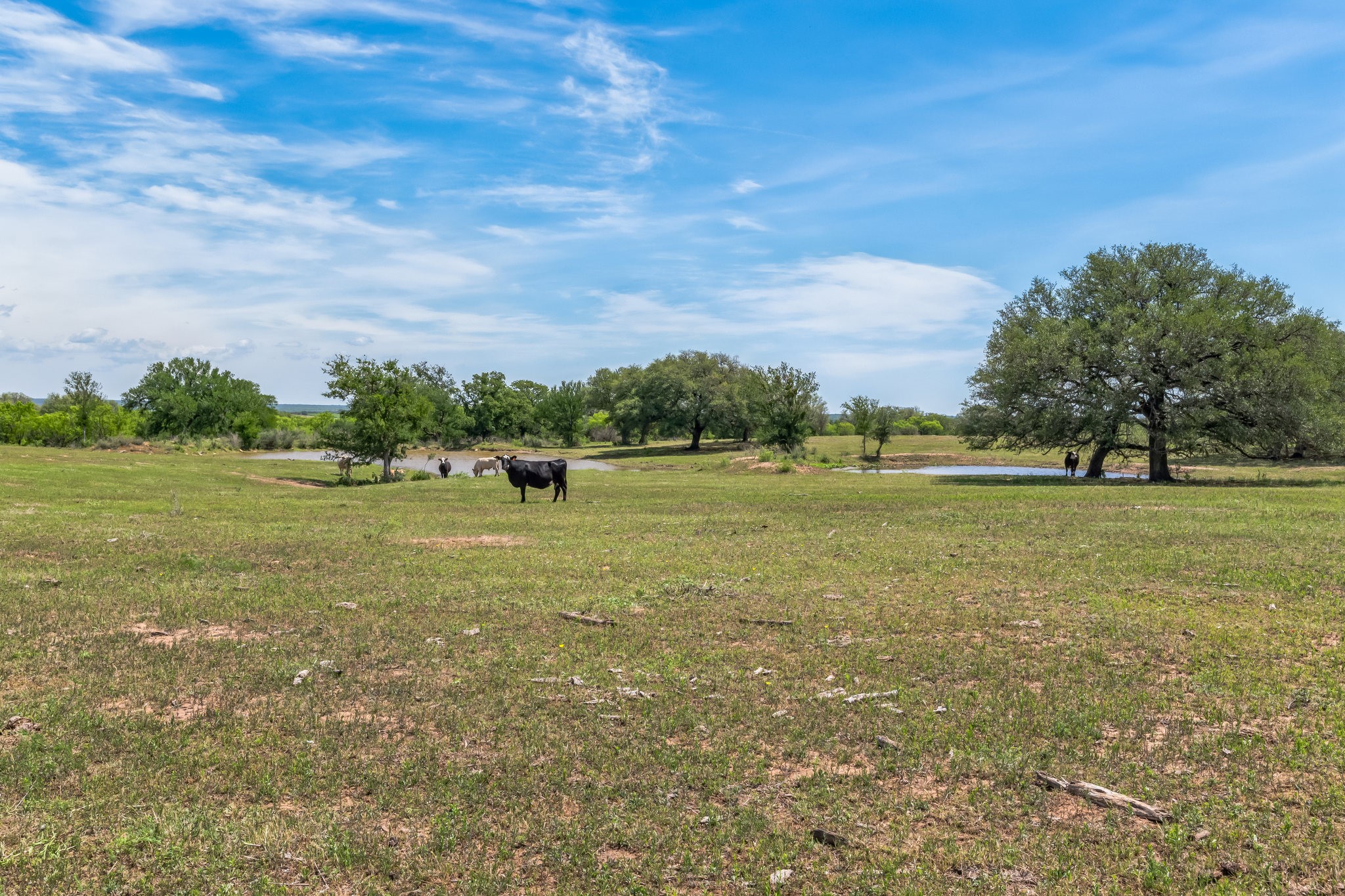 16101 Fm 500 San Saba TX 76871