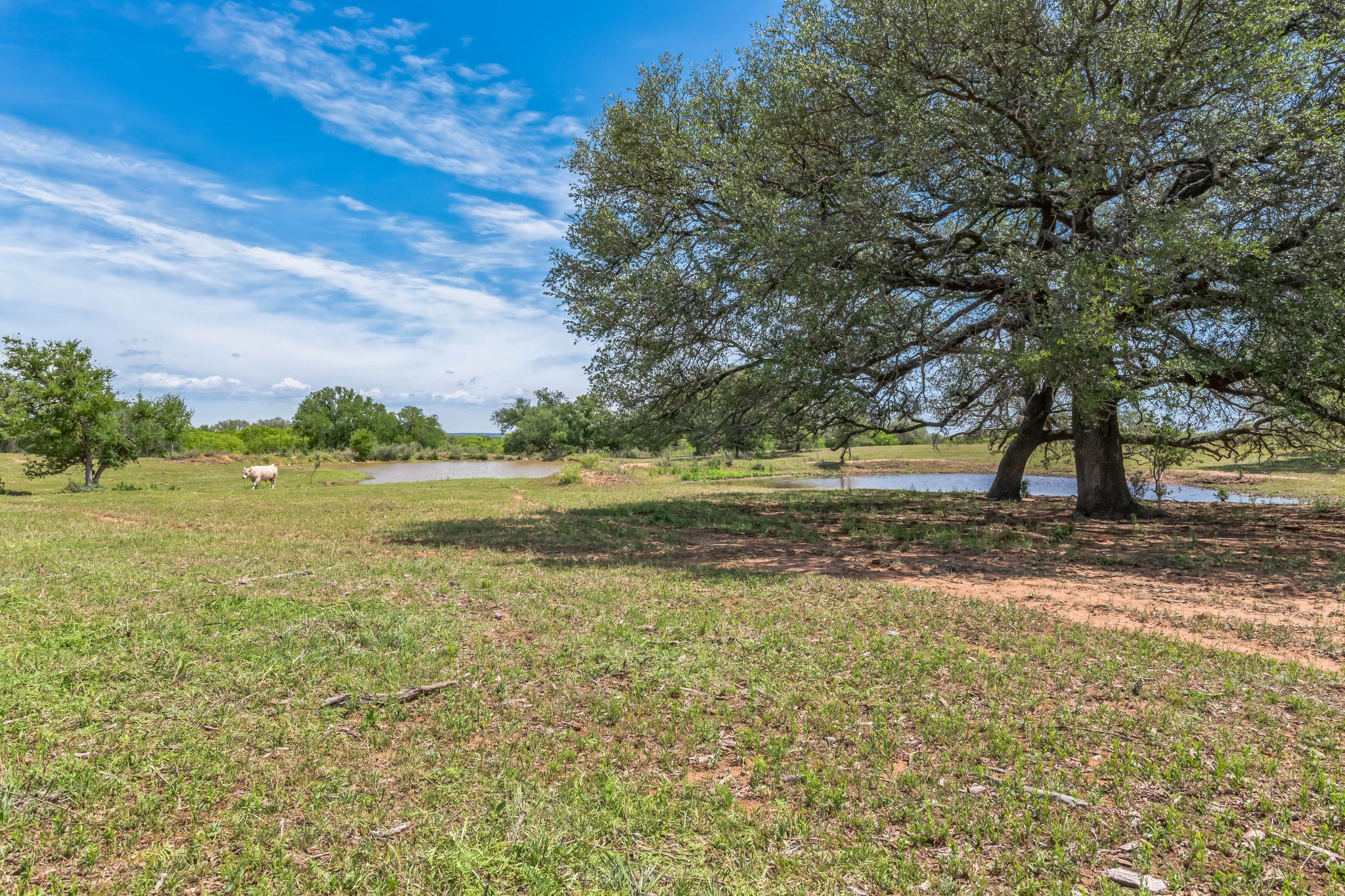 16101 Fm 500 San Saba TX 76871