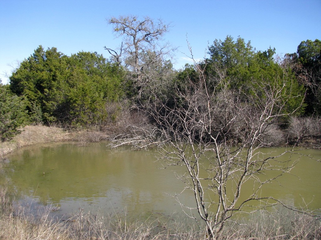 Lot 3 Ph 6 County Road 421 Evant TX 76525