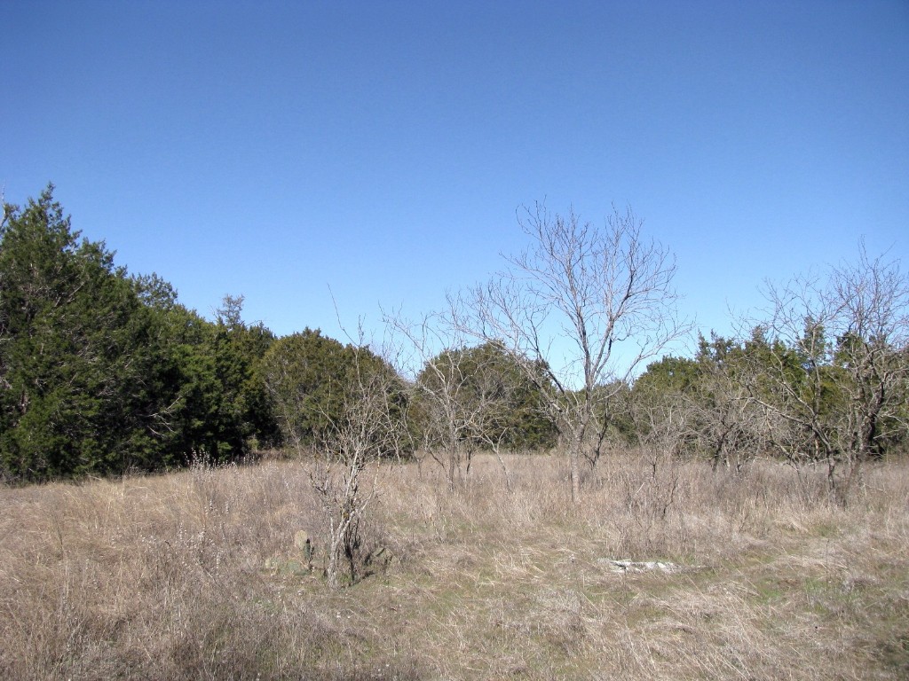 Lot 3 Ph 6 County Road 421 Evant TX 76525