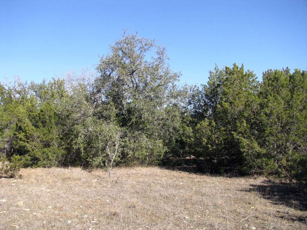 Lot 3 Ph 6 County Road 421 Evant TX 76525