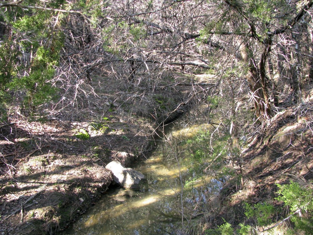 Lot 3 Ph 6 County Road 421 Evant TX 76525
