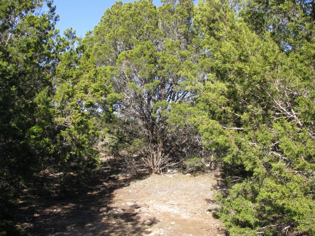 Lot 3 Ph 6 County Road 421 Evant TX 76525