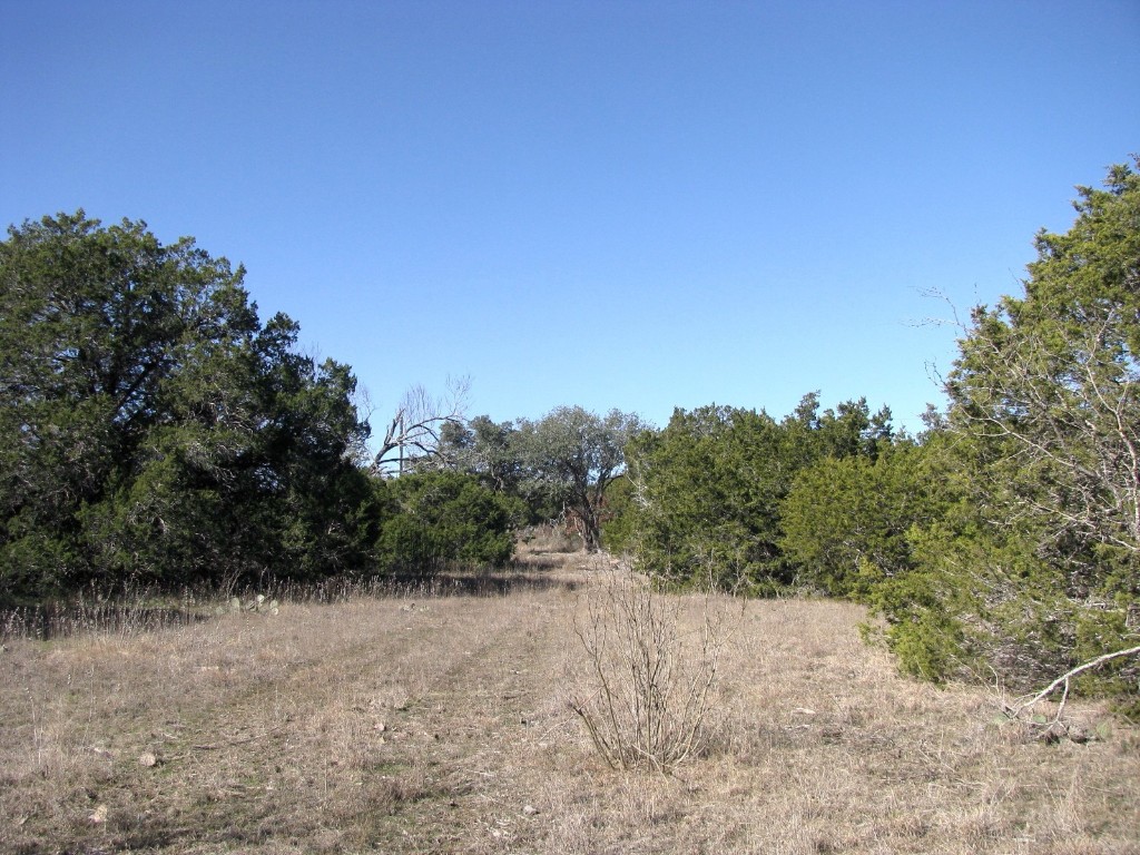 Lot 3 Ph 6 County Road 421 Evant TX 76525