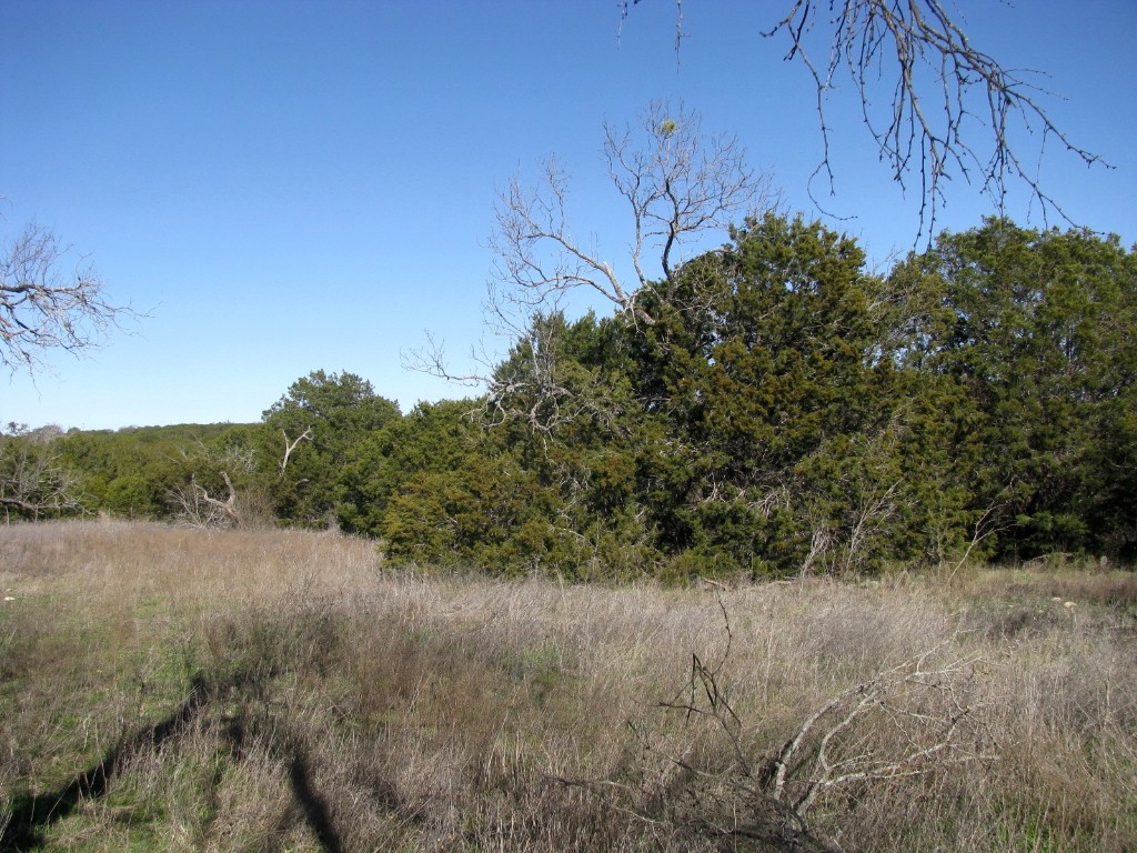 Lot 3 Ph 6 County Road 421 Evant TX 76525
