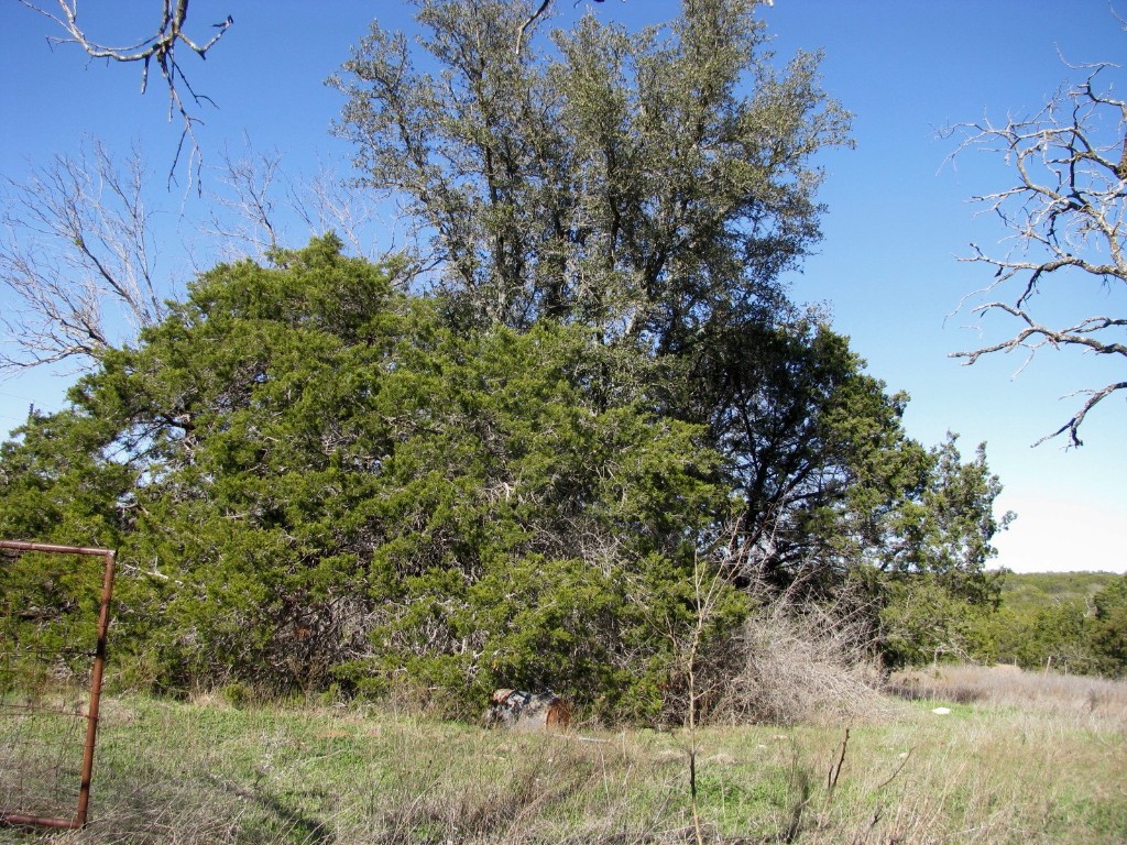 Lot 3 Ph 6 County Road 421 Evant TX 76525