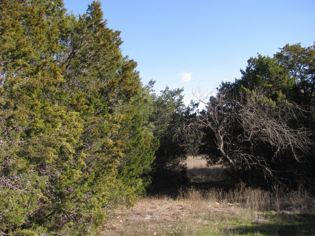 Lot 3 Ph 6 County Road 421 Evant TX 76525