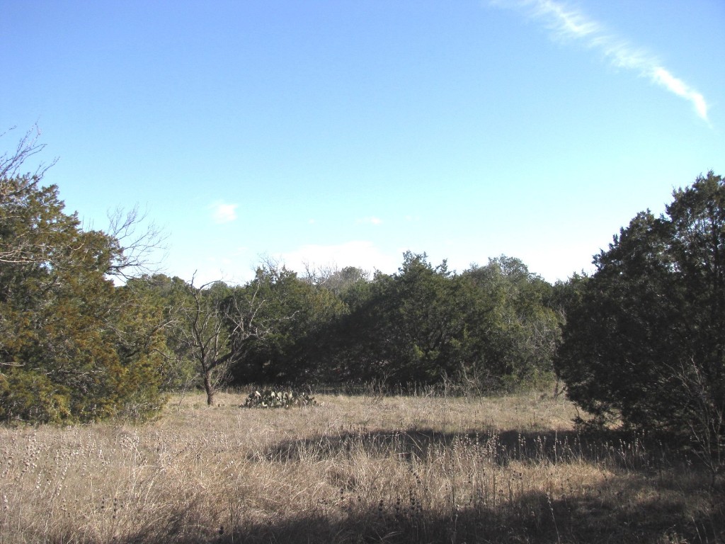 Lot 3 Ph 6 County Road 421 Evant TX 76525
